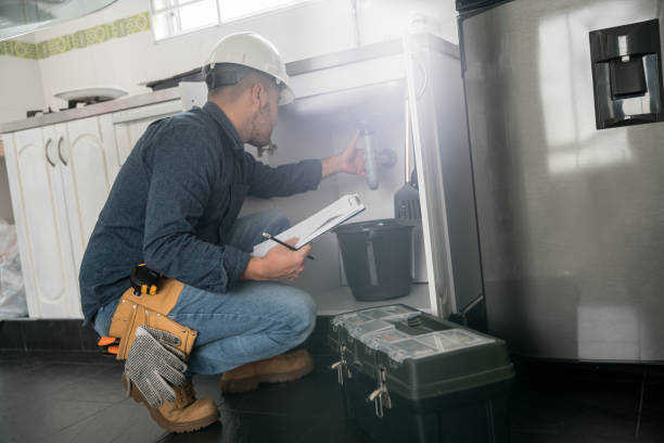 Best Shower Repair Services  in Carrizo Hill, TX