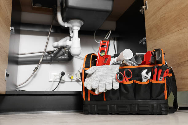 Best Faucet Repair  in Carrizo Hill, TX